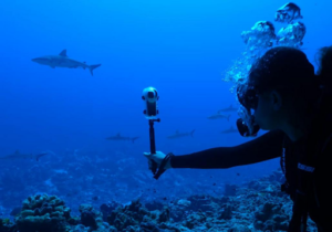 Wie macht man atemberaubende Fotos mit einer Unterwasserkamera?