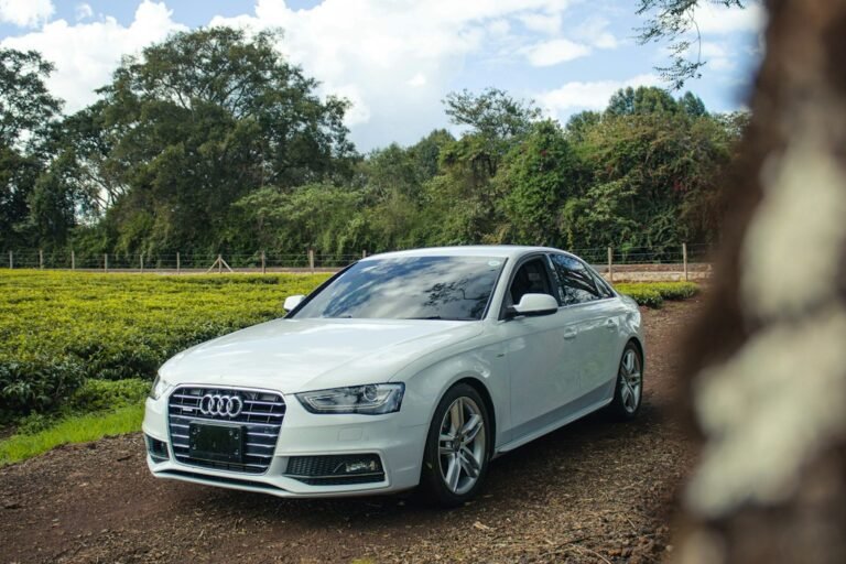 Audi A4 B6 Kotflügel – lohnt sich ein lackiertes Ersatzteil? Audi A4 B6 Kotflügel - lohnt sich ein lackiertes Ersatzteil?